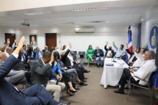 PRM designa a Sigmund Freund como delegado político ante la JCE