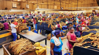 Tabacalera de España compra fábrica de puros dominicana