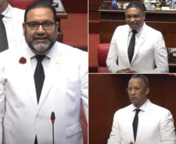 PLD y Fuerza del Pueblo anuncian voceros; Rogelio Genao y Antonio Marte conforman bloque