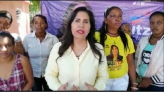 Hernández exige neutralidad en proceso electoral interno del PLD