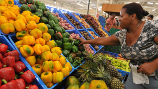 Representante de la FAO considera que debe ser revisada la cadena de precios de los alimentos en RD