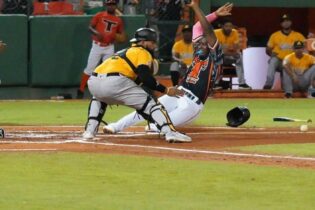 Navarro y Castro producen carreras, Toros se imponen 8-3 a los Toros del Este