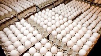 Cuba aumentaría importación de huevos y pollos desde la RD