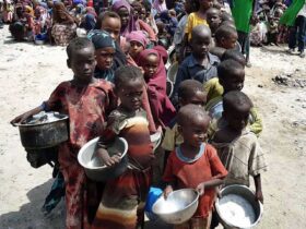 HAITI: Cruz Roja alerta de profundas necesidades de más de 3 millones de haitianos
