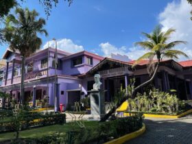 <strong>PLD se prepara para elección de titulares de  secretarías</strong>