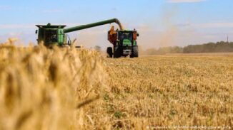 Rusia suspende el acuerdo del grano con Kiev, poniendo en jaque la seguridad alimentaria mundial