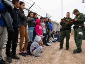 MÉXICO: Aumenta la devolución de migrantes desde los EEUU