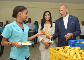 Más de 2.7 millones de guineo serán distribuidos en escuelas públicas del país