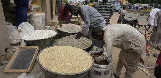 Fuerzas de Rusia destruyen 60 mil toneladas cereal