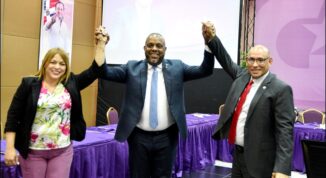 PLD escoge a Luis Henríquez su nuevo vocero Cámara Diputados