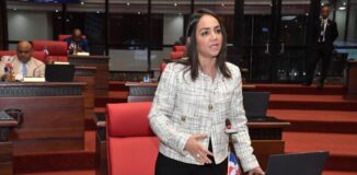 Faride Raful denuncia en el PRM hay precandidatos con expediente por violación sexual