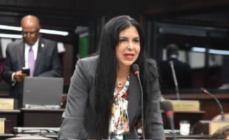 TSE rechaza otro recurso que fue presentado por diputada del PRM