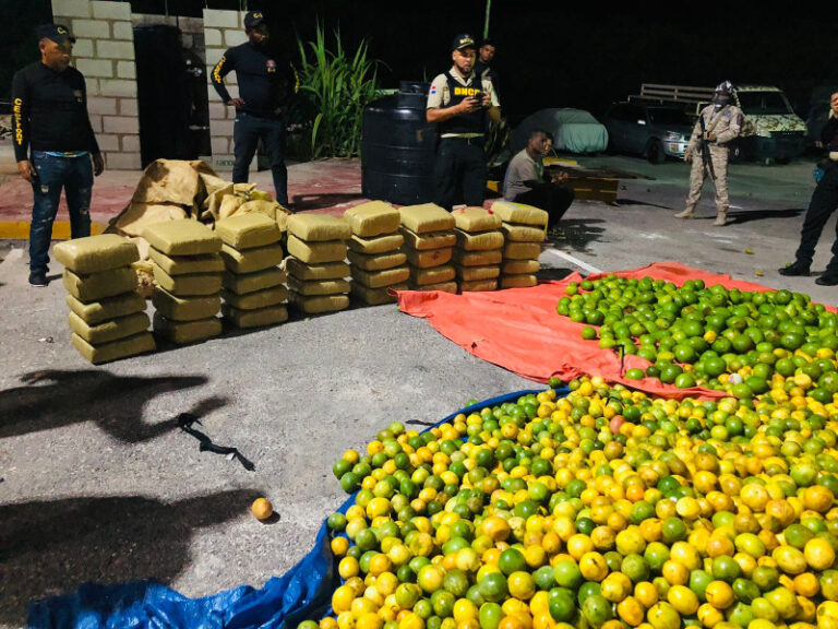 Cesfront decomisa 390 libras de marihuana en sacos de chinola, aguacate y naranjas en Pedernales