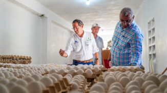 Inespre inicia compra de pollos y huevos a productores de Dajabón afectados