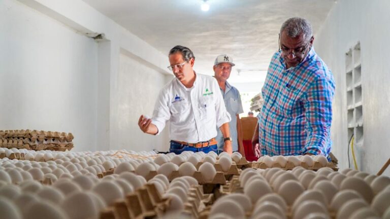 Inespre inicia compra de pollos y huevos a productores de Dajabón afectados