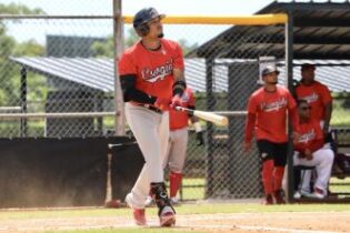 Leones del Escogido derrotan a Tigres del Licey en pretemporada