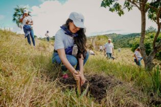 Voluntarios del Banco Popular realizan reforestación en La Sierra