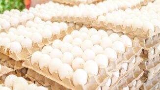 Gobierno dispone venta de cartones de huevos a 100 pesos este jueves 