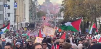 EUROPA: Siguen manifestaciones para alto el fuego en franja Gaza