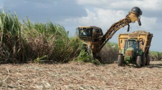 CEA alista operaciones de ingenio Porvenir con 200,000 toneladas