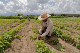 El Bagrícola anuncia préstamos por US$60 millones a pequeños y mediados productores
