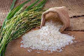 Pro Consumidor dice arroz está libre de metales nocivos