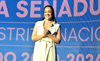 Senadora Faride Raful sometió 37 proyectos de Ley en cuatro años de gestión