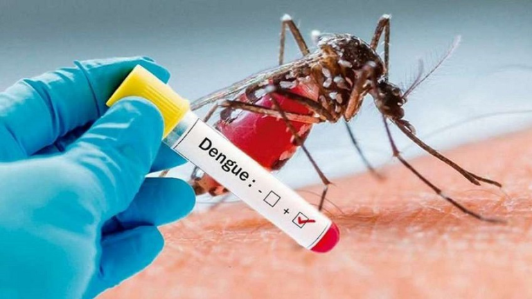 La epidemia del dengue en las Américas no tiene precedentes