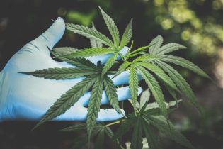 Presión social y redes sociales, principales motivos de los jóvenes para consumir cannabis