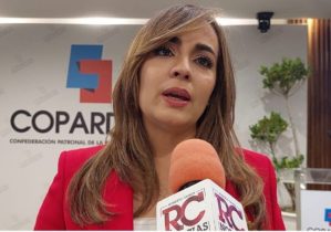 COPARDOM plantea estructura incentive creación de empresas