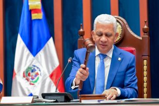 Senado conforma 30 comisiones de trabajo y una especial