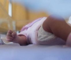 Hospitales del SNS reducen 30% mortalidad neonatal en el 2024