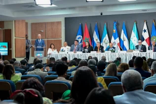 Presidente del Senado llama a unidad para resolver crisis migratoria haitiana