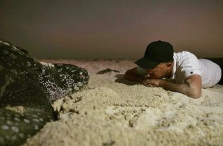 Domínguez llama asumir con firmeza compromiso ambiental