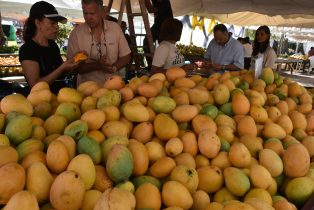 Baní celebra Expo Mango 2025