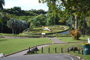 Denuncian hay «plan» oficial para reducir el Jardín Botánico