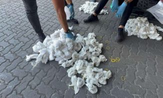 Incautan marihuana en puerto dominicano procedente de EU