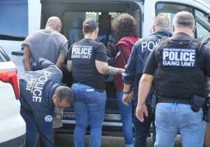 El PLD critica «flojera» PRM y sus diputados frente abusos ICE