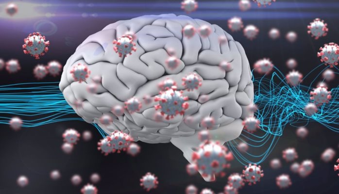 Cerebros humanos envejecieron aceleradamente en la pandemia