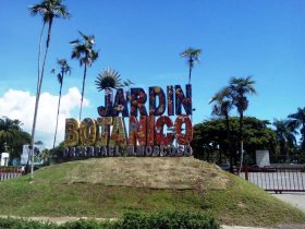 Presidente garantiza el Botánico no será mutilado; construirán un túnel