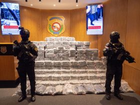 Las autoridades dominicanas se incautan 846 paquetes de droga