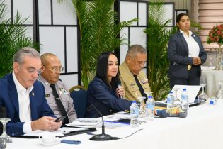 Trazan plan estratégico para reducir homicidios en provincias de mayor incidencia