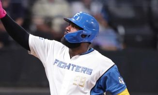 Dominicano Franmil Reyes se destaca en el béisbol japonés