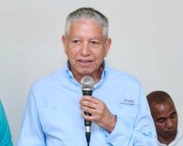 Guzmán: “El sector eléctrico es mayor fracaso del Gobierno”
