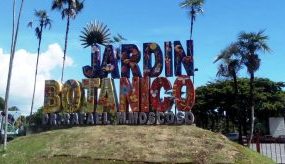 Jardín Botánico, el pulmón verde de Santo Domingo