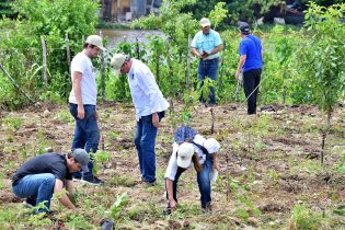 Fundación Ex Alumnos Loyola 79 siembra más de 5,500 árboles en Santo Domingo Savio
