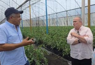 Precandidato presidencial PLD luchará por el sector agrícola