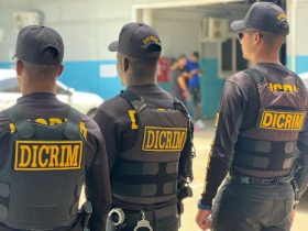 Caen abatidos por la PN 2 presuntos delincuentes en Santiago