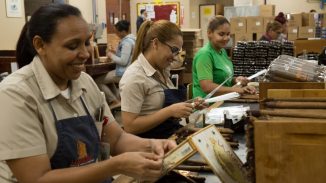 Hay alta demanda de técnicos tabacaleros en zonas francas RD