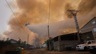 EUROPA: vivió el cuarto verano más caluroso de su historia